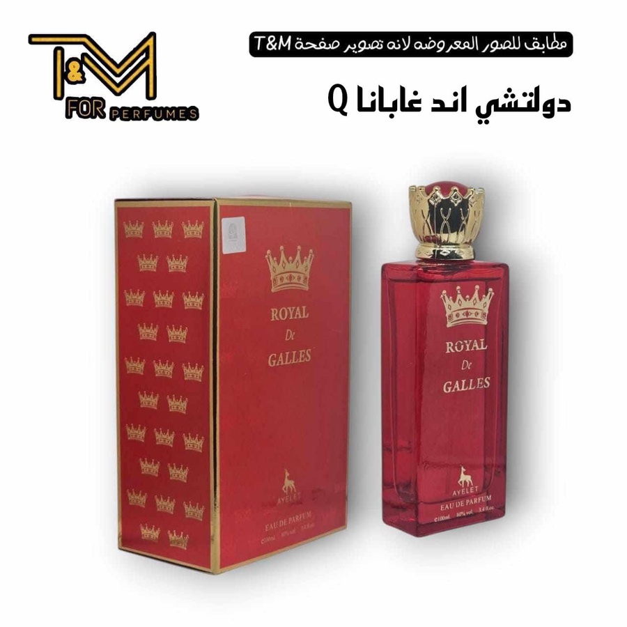 دولتشي اند غابانا q